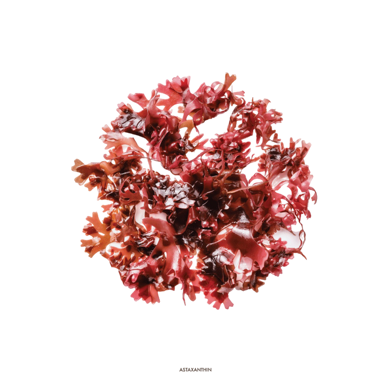 Astaxantina